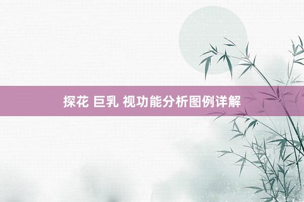 探花 巨乳 视功能分析图例详解