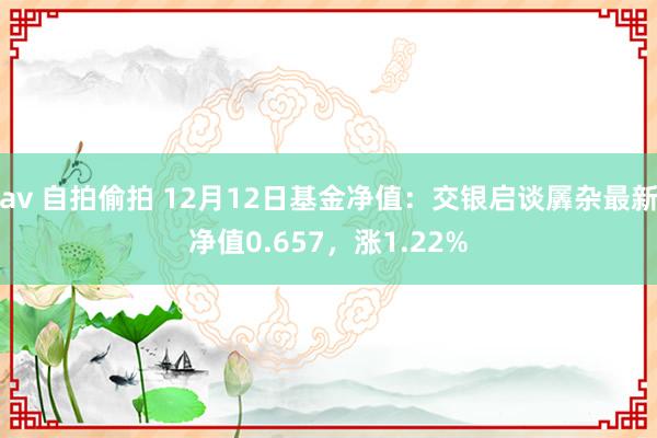 av 自拍偷拍 12月12日基金净值：交银启谈羼杂最新净值0.657，涨1.22%