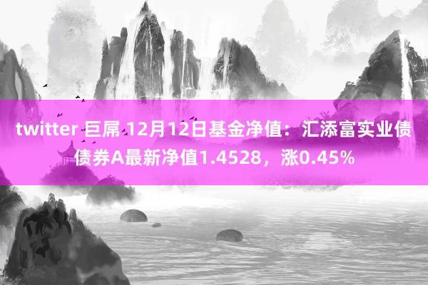 twitter 巨屌 12月12日基金净值：汇添富实业债债券A最新净值1.4528，涨0.45%