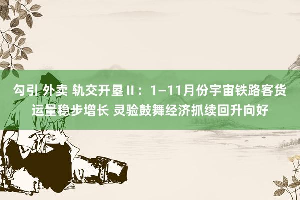 勾引 外卖 轨交开垦Ⅱ：1—11月份宇宙铁路客货运量稳步增长 灵验鼓舞经济抓续回升向好
