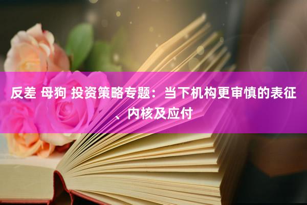 反差 母狗 投资策略专题：当下机构更审慎的表征、内核及应付