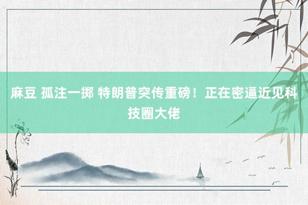 麻豆 孤注一掷 特朗普突传重磅！正在密逼近见科技圈大佬