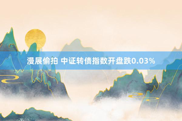 漫展偷拍 中证转债指数开盘跌0.03%