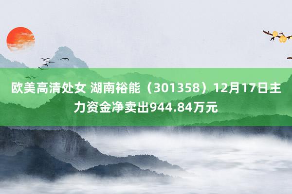 欧美高清处女 湖南裕能（301358）12月17日主力资金净卖出944.84万元