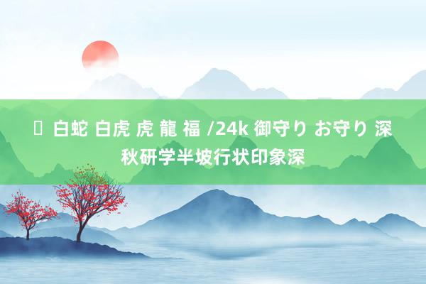 ✨白蛇 白虎 虎 龍 福 /24k 御守り お守り 深秋研学半坡行状印象深