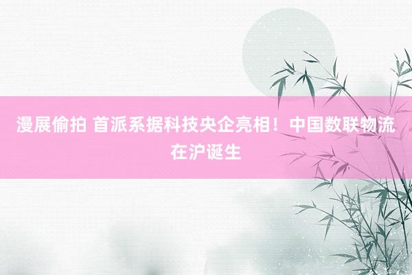 漫展偷拍 首派系据科技央企亮相！中国数联物流在沪诞生