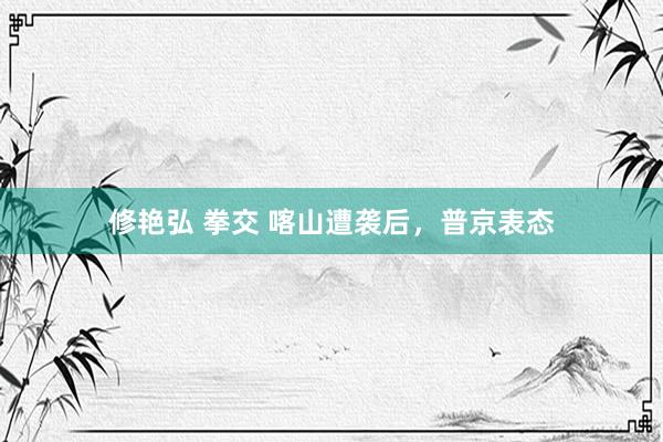修艳弘 拳交 喀山遭袭后，普京表态