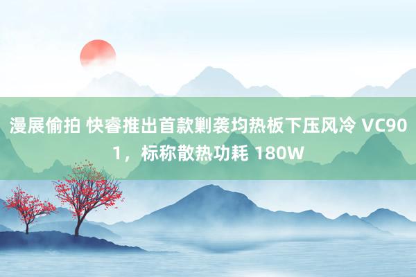 漫展偷拍 快睿推出首款剿袭均热板下压风冷 VC901，标称散热功耗 180W