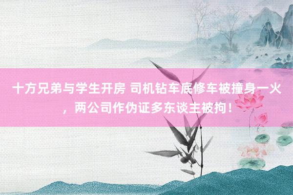 十方兄弟与学生开房 司机钻车底修车被撞身一火，两公司作伪证多东谈主被拘！