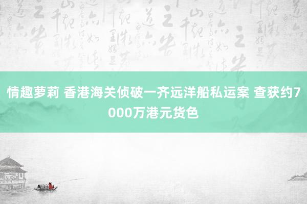 情趣萝莉 香港海关侦破一齐远洋船私运案 查获约7000万港元货色