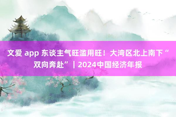文爱 app 东谈主气旺滥用旺！大湾区北上南下“双向奔赴”｜2024中国经济年报