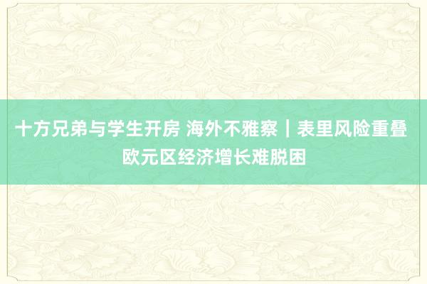 十方兄弟与学生开房 海外不雅察｜表里风险重叠 欧元区经济增长难脱困