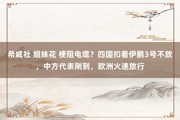 希威社 姐妹花 梗阻电缆？四国扣着伊鹏3号不放，中方代表刚到，欧洲火速放行