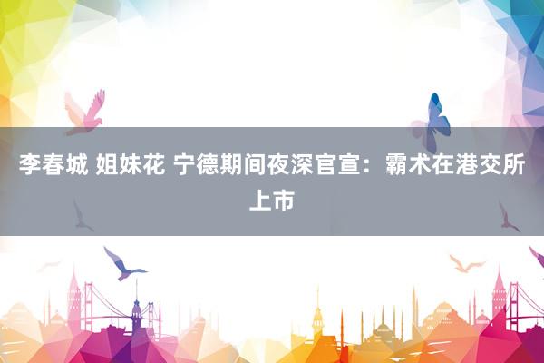 李春城 姐妹花 宁德期间夜深官宣：霸术在港交所上市