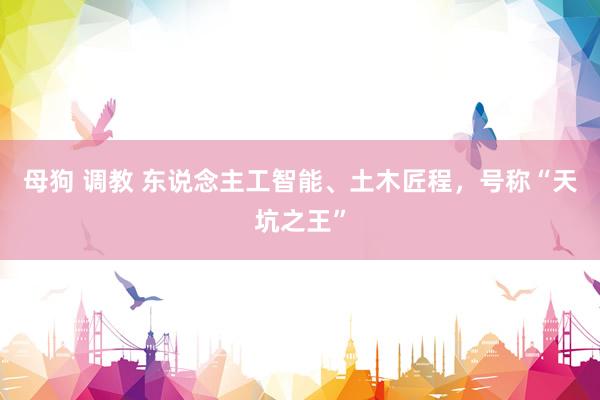 母狗 调教 东说念主工智能、土木匠程，号称“天坑之王”