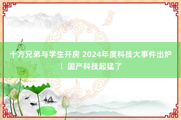 十方兄弟与学生开房 2024年度科技大事件出炉！国产科技起猛了