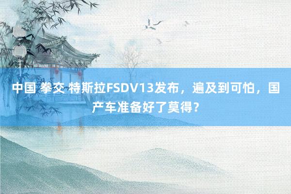 中国 拳交 特斯拉FSDV13发布，遍及到可怕，国产车准备好了莫得？