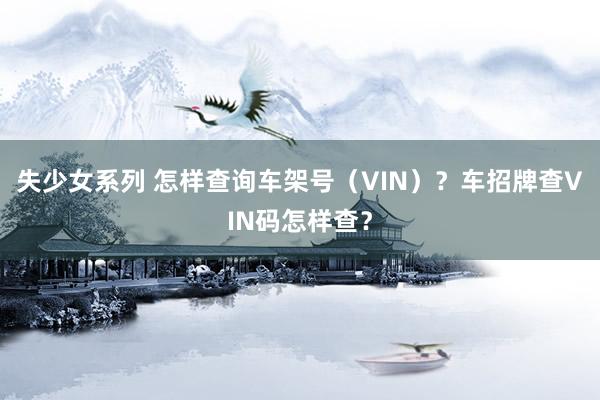 失少女系列 怎样查询车架号（VIN）？车招牌查VIN码怎样查？