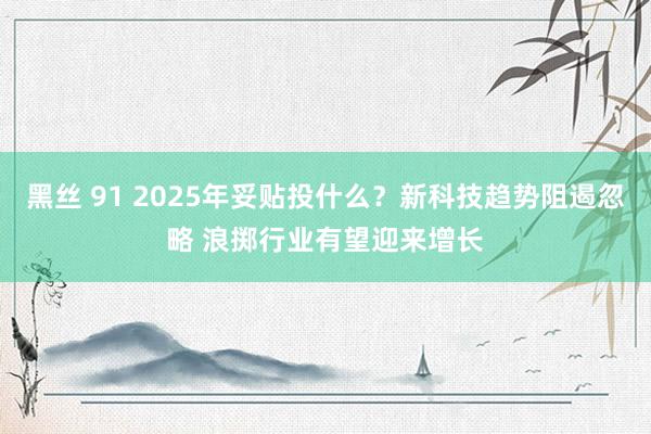 黑丝 91 2025年妥贴投什么？新科技趋势阻遏忽略 浪掷行业有望迎来增长