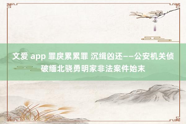 文爱 app 罪戾累累罪 沉缉凶还——公安机关侦破缅北骁勇明家非法案件始末