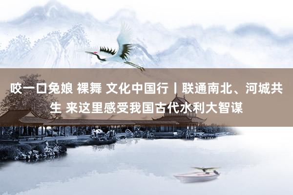 咬一口兔娘 裸舞 文化中国行丨联通南北、河城共生 来这里感受我国古代水利大智谋