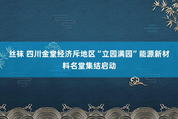 丝袜 四川金堂经济斥地区“立园满园”能源新材料名堂集结启动