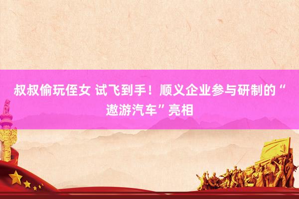 叔叔偷玩侄女 试飞到手！顺义企业参与研制的“遨游汽车”亮相