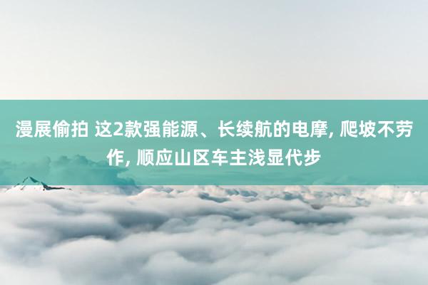漫展偷拍 这2款强能源、长续航的电摩, 爬坡不劳作, 顺应山区车主浅显代步