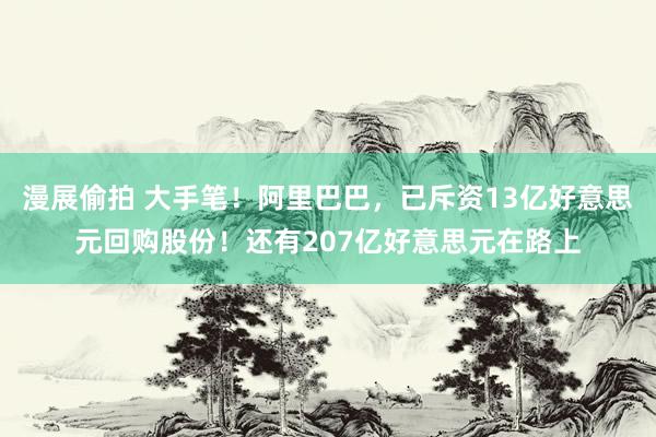 漫展偷拍 大手笔！阿里巴巴，已斥资13亿好意思元回购股份！还有207亿好意思元在路上