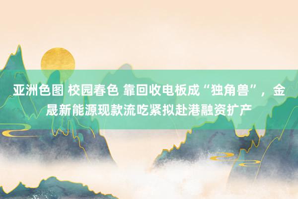亚洲色图 校园春色 靠回收电板成“独角兽”，金晟新能源现款流吃紧拟赴港融资扩产
