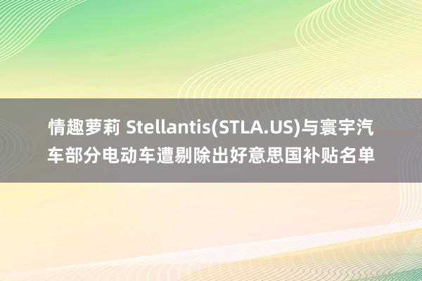 情趣萝莉 Stellantis(STLA.US)与寰宇汽车部分电动车遭剔除出好意思国补贴名单