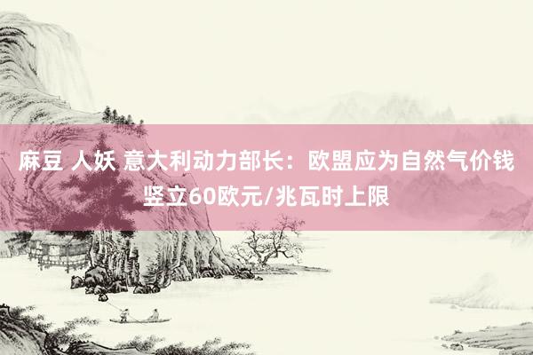 麻豆 人妖 意大利动力部长：欧盟应为自然气价钱竖立60欧元/兆瓦时上限