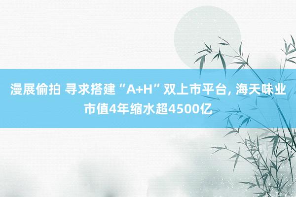 漫展偷拍 寻求搭建“A+H”双上市平台, 海天味业市值4年缩水超4500亿