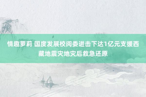 情趣萝莉 国度发展校阅委进击下达1亿元支援西藏地震灾地灾后救急还原