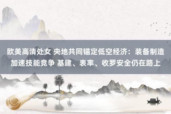 欧美高清处女 央地共同锚定低空经济：装备制造加速技能竞争 基建、表率、收罗安全仍在路上