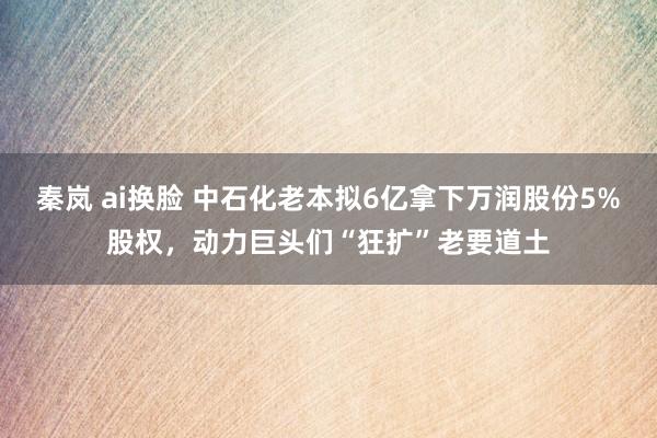 秦岚 ai换脸 中石化老本拟6亿拿下万润股份5%股权，动力巨头们“狂扩”老要道土