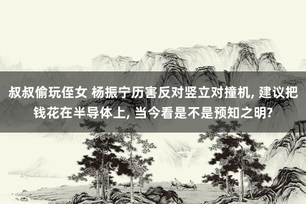 叔叔偷玩侄女 杨振宁历害反对竖立对撞机, 建议把钱花在半导体上, 当今看是不是预知之明?