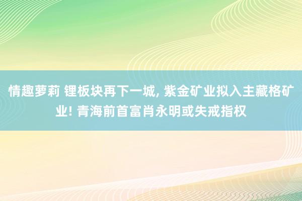 情趣萝莉 锂板块再下一城, 紫金矿业拟入主藏格矿业! 青海前首富肖永明或失戒指权