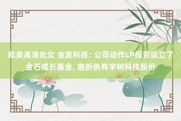 欧美高清处女 金发科技: 公司动作LP投资设立了金石成长基金, 曲折执有宇树科技股份