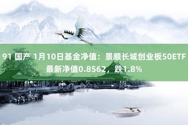 91 国产 1月10日基金净值：景顺长城创业板50ETF最新净值0.8562，跌1.8%