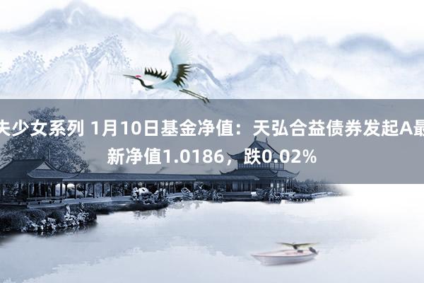 失少女系列 1月10日基金净值：天弘合益债券发起A最新净值1.0186，跌0.02%