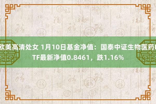 欧美高清处女 1月10日基金净值：国泰中证生物医药ETF最新净值0.8461，跌1.16%