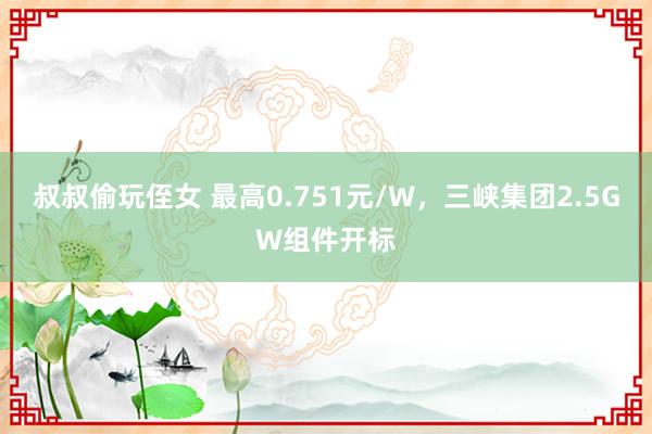 叔叔偷玩侄女 最高0.751元/W，三峡集团2.5GW组件开标