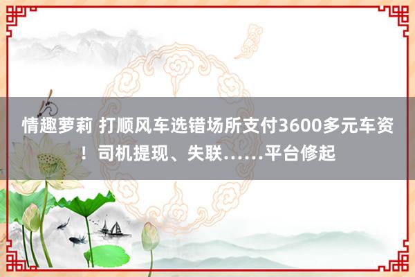 情趣萝莉 打顺风车选错场所支付3600多元车资！司机提现、失联……平台修起