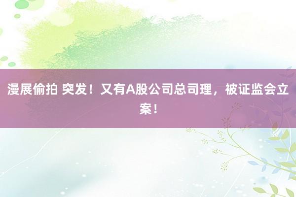 漫展偷拍 突发！又有A股公司总司理，被证监会立案！