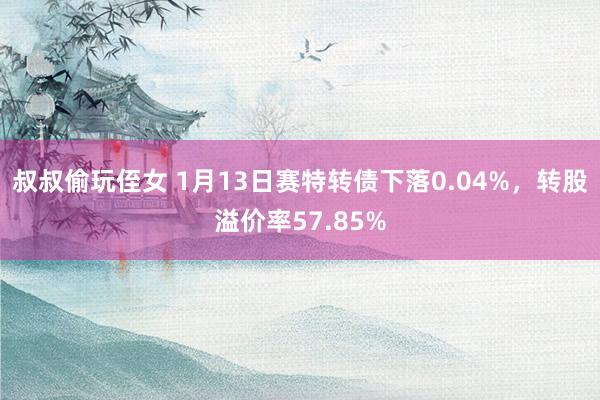 叔叔偷玩侄女 1月13日赛特转债下落0.04%，转股溢价率57.85%
