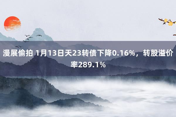 漫展偷拍 1月13日天23转债下降0.16%，转股溢价率289.1%