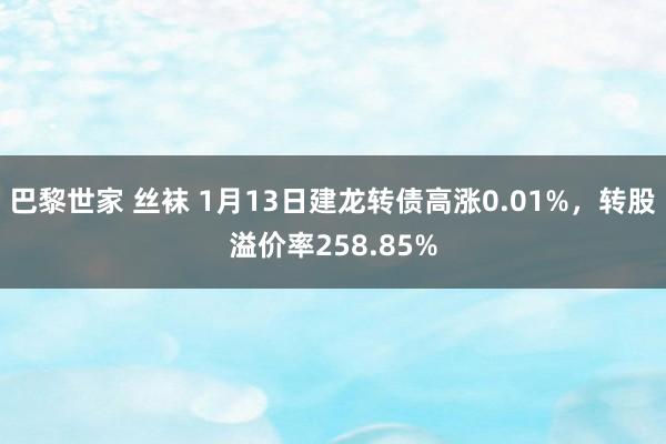 巴黎世家 丝袜 1月13日建龙转债高涨0.01%，转股溢价率258.85%