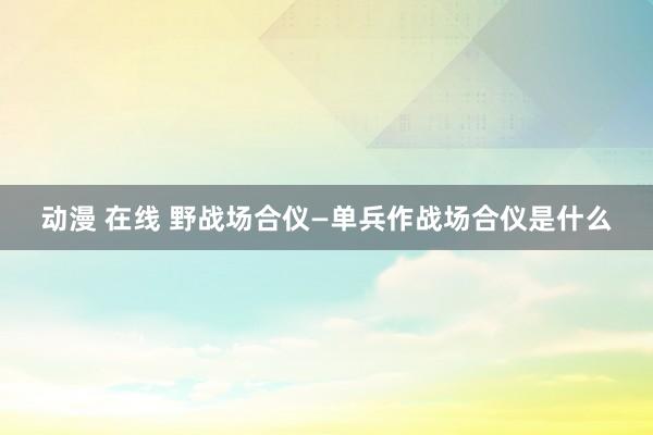 动漫 在线 野战场合仪—单兵作战场合仪是什么