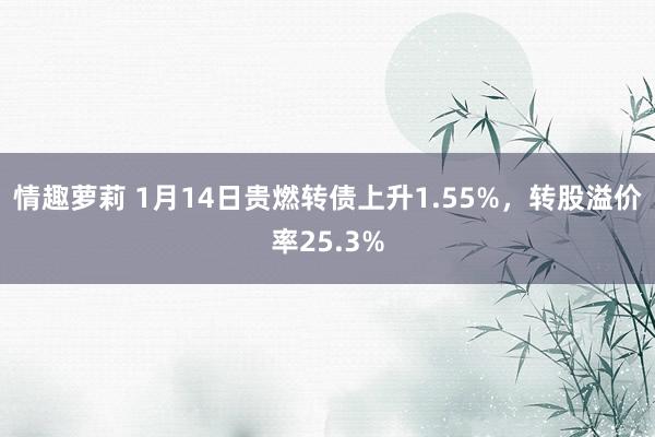 情趣萝莉 1月14日贵燃转债上升1.55%，转股溢价率25.3%